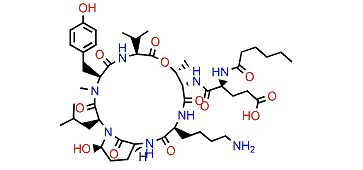 Micropeptin B